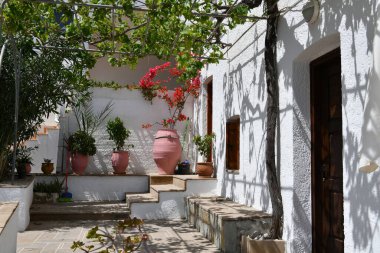 Mavi gökyüzü ve bahçesinde çiçekler olan deniz kıyısı manzarası