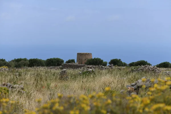 Adadaki deniz kıyısındaki antik değirmenlerin gururlu kalıntıları