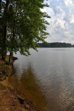 Nehir ormanı ve gökyüzünde fantastik bulutlarla doğal manzara