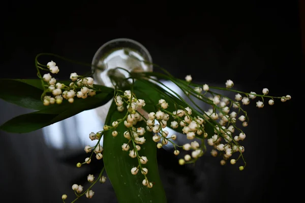 화병에 골짜기의 백합화 꽃다발 과검은 유리에 — 스톡 사진