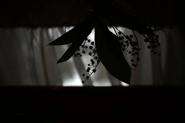花瓶里的一束百合花和黑色玻璃杯里的倒影 — 图库照片