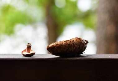 Külahta mantarlar ve ladin dalları kırsal bir tahtanın üzerinde durgun bir hayat sürüyor.