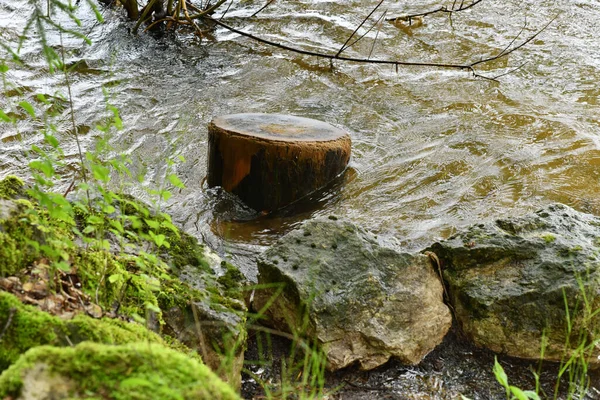 木の丸太が川の水に浮かび — ストック写真