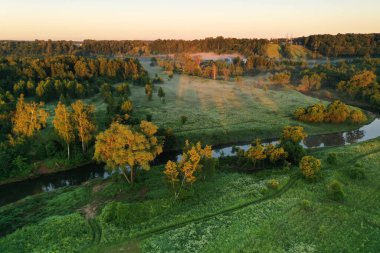 Şafakta insansız hava aracından alınan bir nehirle sisli yeşil alanların panoramik görüntüsü