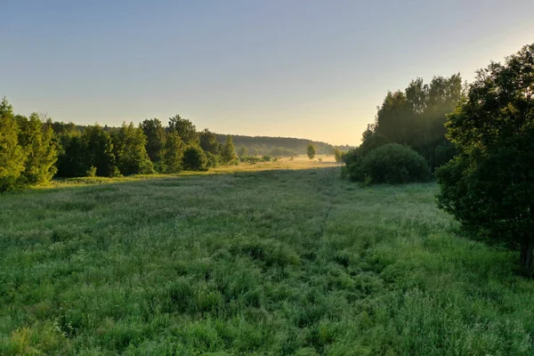 Panoramiczny Widok Zieleni Mgle Rzeką Zabraną Drona Świcie — Zdjęcie stockowe