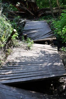 Kasırgadan sonra kırık tahta patika