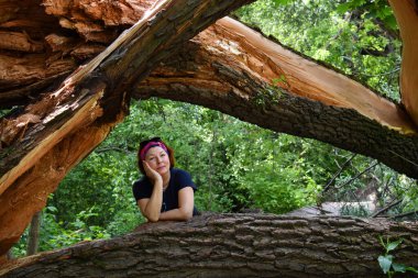 Kasırgadan sonra asırlık ağaç devrildi.