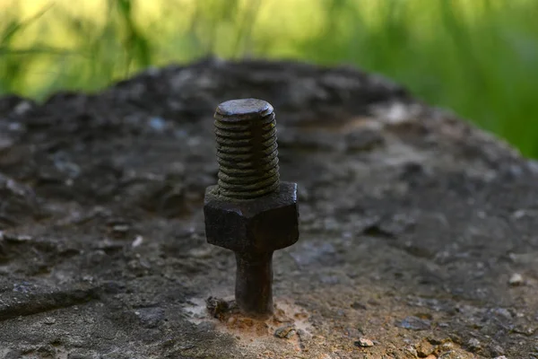 metal rod with thread on a background of green landscape