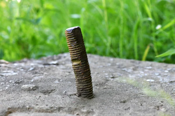 metal rod with thread on a background of green landscape