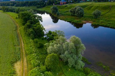 Orman çayırlarının panoramik manzarası ve hava aracından çekilen nehir.