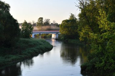 Sabah erken saatlerde ormanın arka planındaki antik beyaz taş kale.