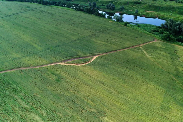 Panoramiczny Widok Łąki Leśne Rzekę Wystrzeloną Drona — Zdjęcie stockowe