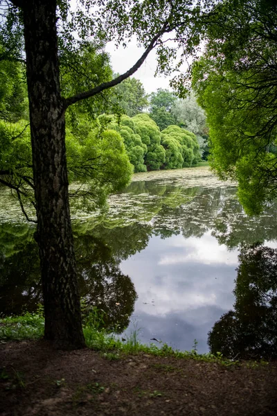 Paisaje Forestal Con Lago Verde Árboles Verdes Alrededor —  Fotos de Stock