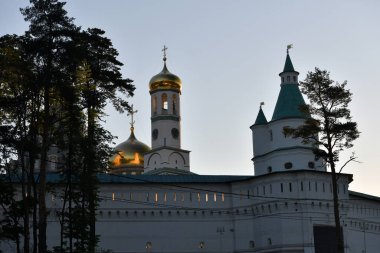 Sabah erken saatlerde ormanın arka planındaki antik beyaz taş kale.