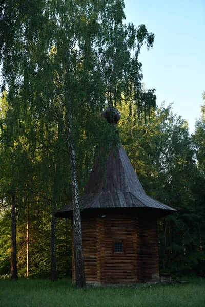 Ängsfält Och Skog Försommarmorgon Vid Soluppgången — Stockfoto