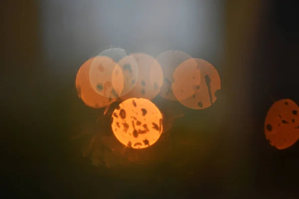 Оранжевые Круги Отражение Черном Фоне — стоковое фото