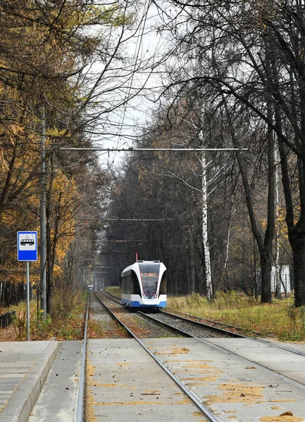 Villamos Villamos Pályák Őszi Sárga Erdőben — Stock Fotó