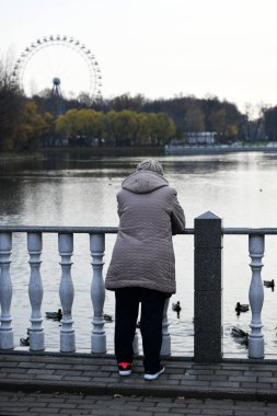 İnsanlar sonbaharda göl kenarında bir gün parkta dinlenirler.