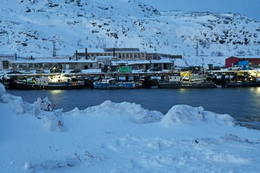 Kuzey Kutbu 'nun büyüleyici sert kış manzaraları