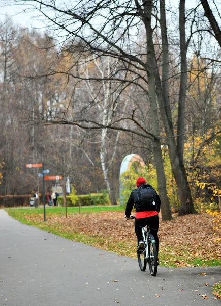 Menschen Ruhen Sich Park Einem Freien Tag Herbst See Aus — Stockfoto