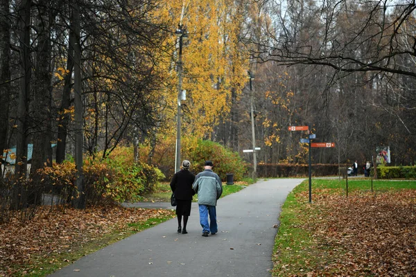 Les Gens Reposent Dans Parc Jour Congé Automne Bord Lac — Photo