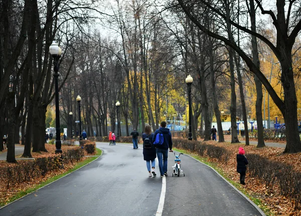 Les Gens Reposent Dans Parc Jour Congé Automne Bord Lac — Photo