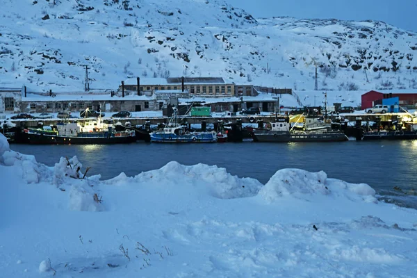 北極の厳しい冬の風景に魅了され — ストック写真