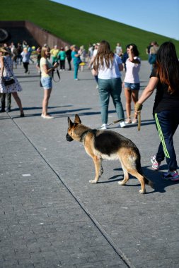Büyük vatanseverlik savaşındaki bir başarı gibi kuğuları cennete giden merhum asker için bir anıt.