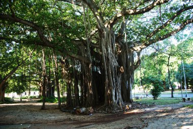 Eski şehrin rahat sokakları ve köşeleri