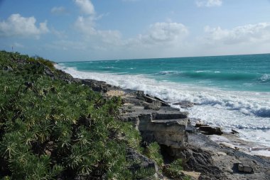 Karayipler 'deki ıssız bir adada vahşi kıyı şeritleri