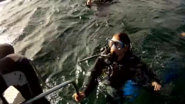 救海龟并从船上释放出来 — 图库视频影像