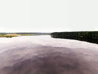Yazın erken saatlerinde doğal yeşil manzaralar ve göl kenarındaki ağaçlar.