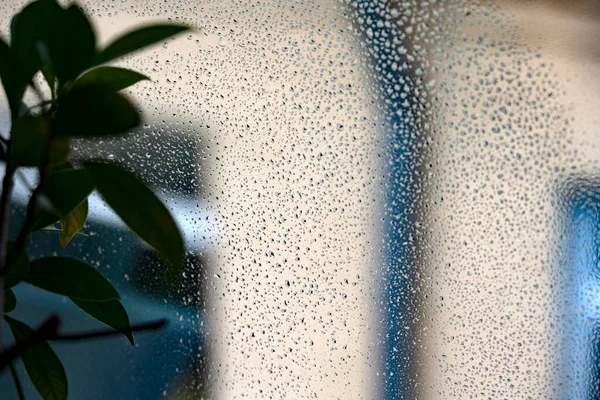 Martwa Natura Kroplami Deszczu Oknie — Zdjęcie stockowe