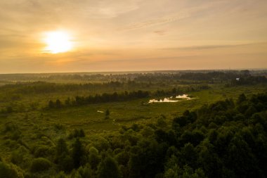 Yazın ormanın ve gölün panoramik manzarası 