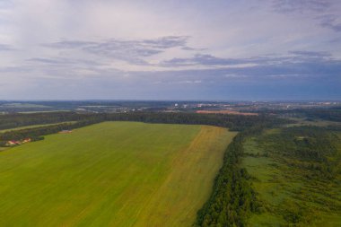 Yazın ormanın ve gölün panoramik manzarası 