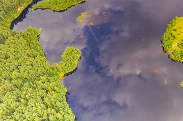 Paesaggio Panoramico Lago Foresta Intorno Estate — Foto Stock