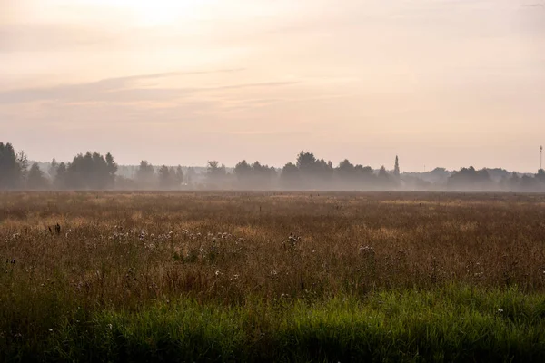 Sunrise Morning Haze Fog Buildings Trees Fields — Stock Photo, Image