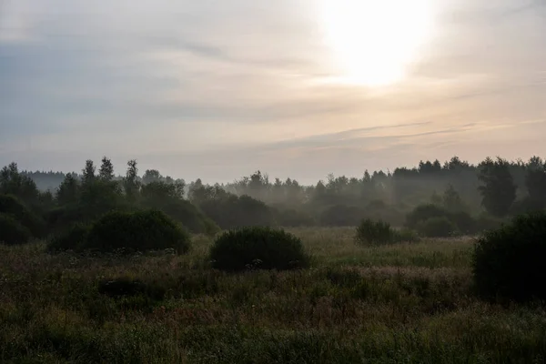 Amanecer Mañana Una Neblina Niebla Sobre Edificios Árboles Campos —  Fotos de Stock