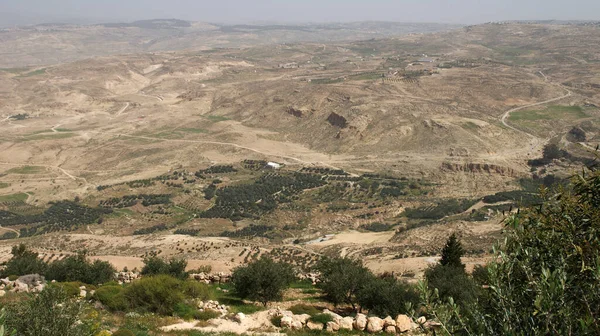 Мерехтливі Рожеві Скелі Біля Петри Півдні Йордану — стокове фото