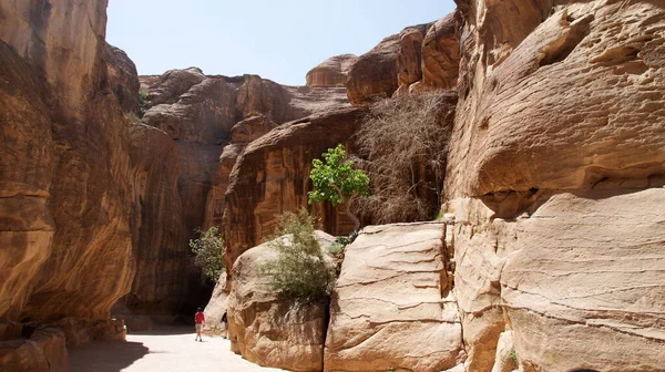 Betoverende Roze Kliffen Bij Petra Het Zuiden Van Jordanië — Stockfoto