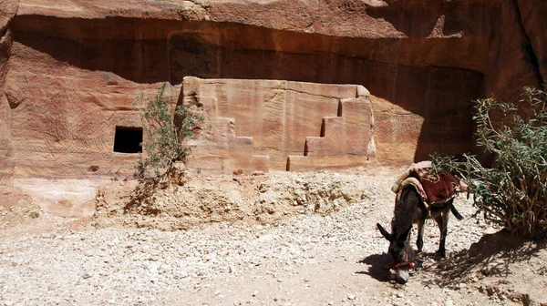 ヨルダンの南にあるペトラの古代の岩壁の建物 — ストック写真