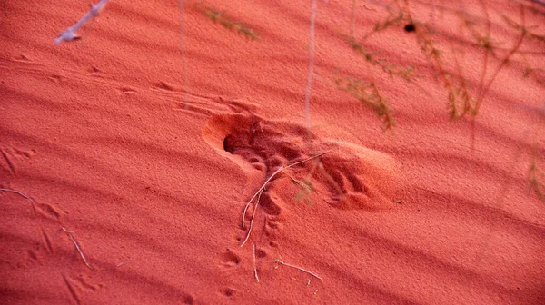 Red Desert Wadi Rum Sunset — Stock Photo, Image