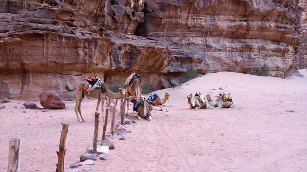 Vermelho Deserto Wadi Rum Pôr Sol — Fotografia de Stock