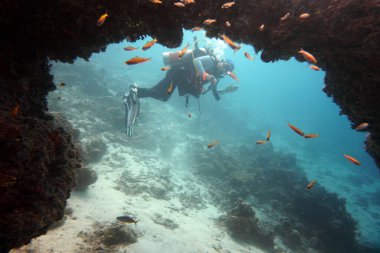 Dişi dalgıç, mercan resifindeki mağara kemerinden poz verir.                               