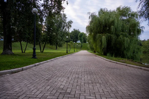 Allée Verte Dans Parc Tôt Matin — Photo