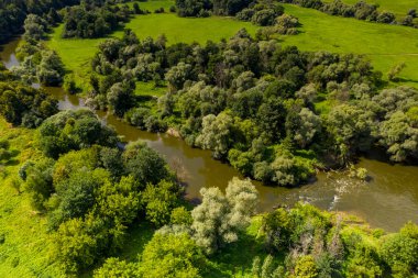 Koyu bir nehir ve yaz havası manzaralı yeşil ağaçlar.