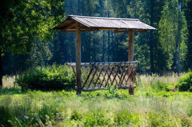 Ormandaki çayırda bizon için ahşap besleyici