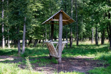 Ormandaki çayırda bizon için ahşap besleyici