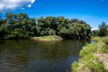 Mavi gökyüzüne karşı yeşil ağaçların arasında eski bir malikanenin kalıntıları.