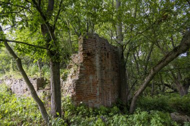 Mavi gökyüzüne karşı yeşil ağaçların arasında eski bir malikanenin kalıntıları.